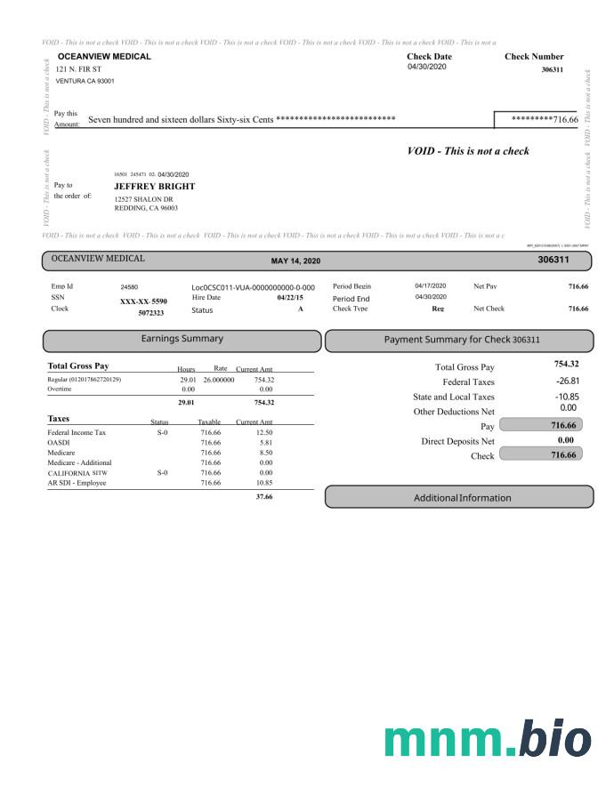Szablon Paystub Medyczny Oceanview w formatach Word i PDF
